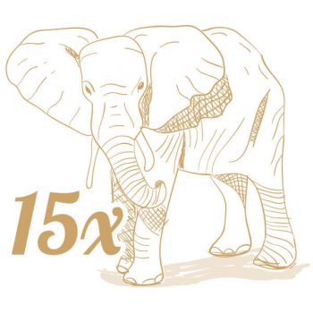 elephant elephant