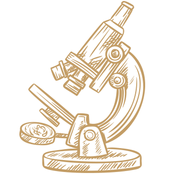 microscope
